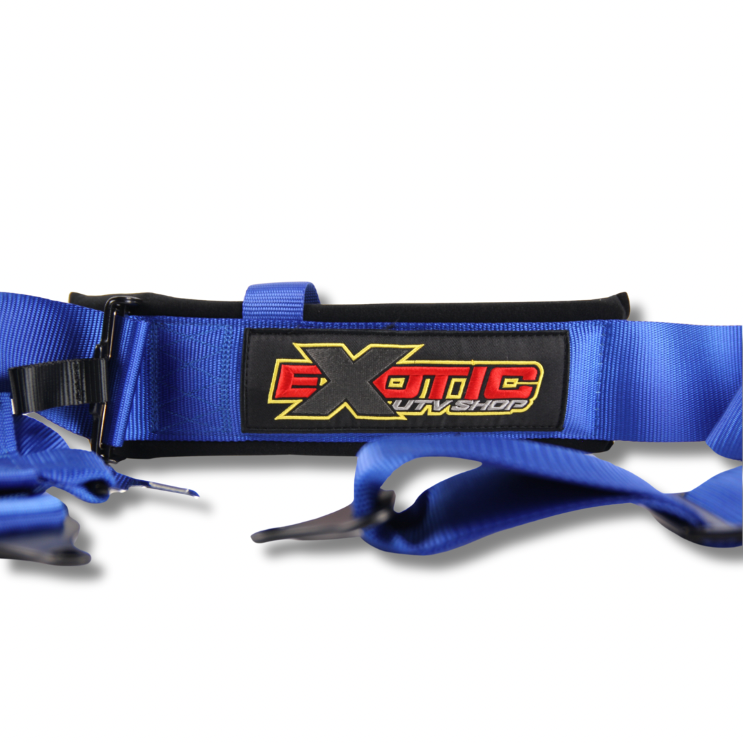EXOTIC Blue Harness